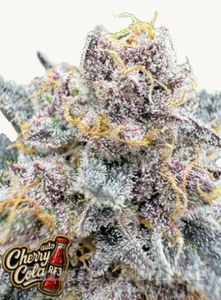 Cherry Cola Auto RF3 - FASTBUDS - 1