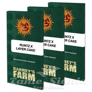 Runtz x Layer Cake - BARNEY'S FARM - 2