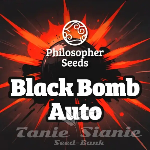 Nasiona Marihuany Black Bomb Auto - PHILOSOPHER SEEDS