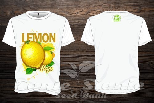 Koszulka Lemon Haze
