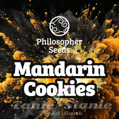 Nasiona Marihuany Mandarin Cookies - PHILOSOPHER SEEDS