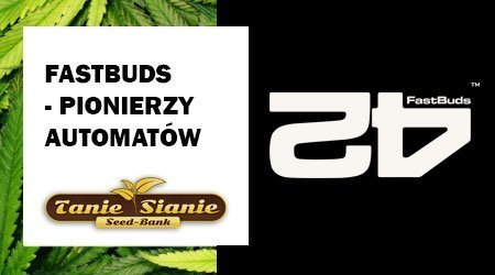 Fast Buds — pionierzy odmian autokwitnących w świecie nasion konopi