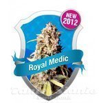 ROYAL QUEEN SEEDS - Royal Medic CBD
