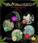 GREEN HOUSE SEEDS - Sativa/Indica Mix A