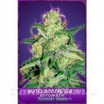 ADVANCED SEEDS - Auto Amnesia