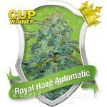 ROYAL QUEEN SEEDS - Royal Haze Automatic®