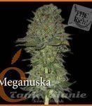ELITE SEEDS - Meganuska