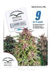 DUTCH PASSION - Dutch Outdoor Mix