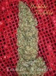 MANDALA SEEDS - Hubble Bubble