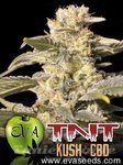 Eva Seeds - TNT Kush CBD