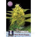 KERA SEEDS - Dutch Power 2.0