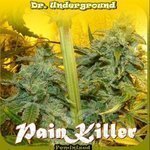 DR UNDERGROUND - Painkiller