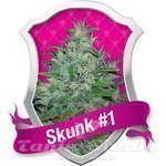 ROYAL QUEEN SEEDS - Skunk 1®