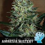 Amnesia Mistery - POSITRONICS