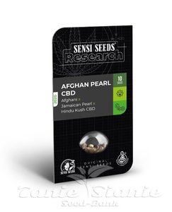 Afghan Pearl CBD Auto - SENSI SEEDS - 2