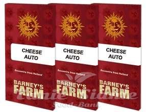 Cheese Auto - BARNEY'S FARM - 2