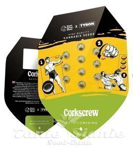 Corkscrew Auto - ROYAL QUEEN SEEDS X TYSON 2.0 - 2