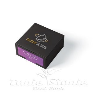 Critical + 2.0 - SILENT SEEDS - 2
