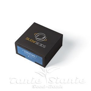 Critical Jack Auto - SILENT SEEDS - 2