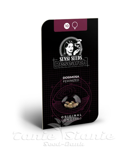 Dosimosa - SENSI SEEDS - 2