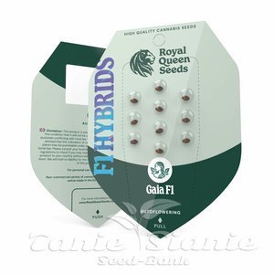 Gaia F1 - ROYAL QUEEN SEEDS - 2