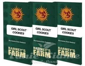 Girl Scout Cookies - BARNEY'S FARM - 9