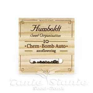 Chem Bomb Auto - HUMBOLDT SEED - 2