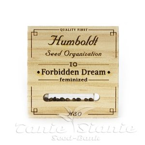 Forbidden Dream - HUMBOLDT SEED - 2