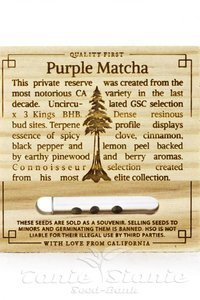 Purple Match - HUMBOLDT SEED - 2