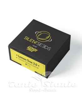Lemon Tree 2.0 - SILENT SEEDS - 2