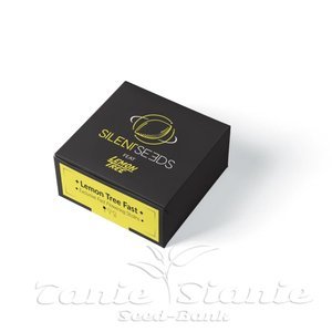 Lemon Tree FAST - SILENT SEEDS - 2