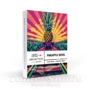 Pineapple Diesel Auto - HAPPY VALLEY GENETICS - 2