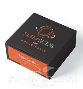 Polar Gelato - SILENT SEEDS - 2