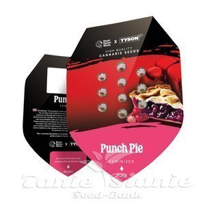 Punch Pie - ROYAL QUEEN SEEDS X TYSON 2.0 - 2