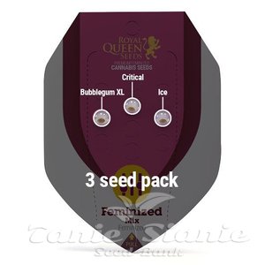 Feminized Mix - ROYAL QUEEN SEEDS - 1