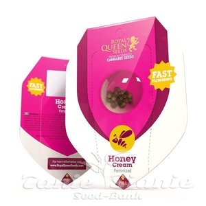 Honey Cream (Fast Version) - ROYAL QUEEN SEEDS - 3