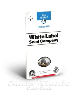 Runtz Auto - WHITE LABEL - 2