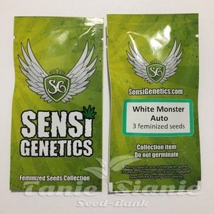 White Monster Auto - SENSI GENETICS - 2