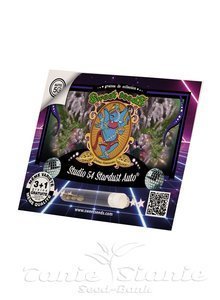 Studio 54 Stardust Auto - SWEET SEEDS - 2