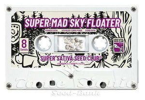 Super Mad Sky Floater - Super Sativa Seed Club - 4