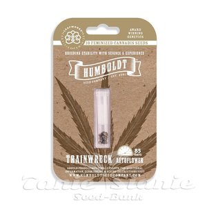 Trainwreck Auto - HUMBOLDT SEED COMPANY - 4