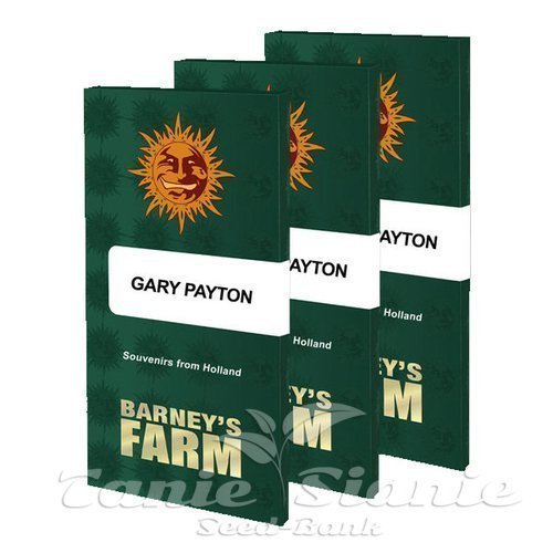 Nasiona Marihuany Gary Payton - BARNEY'S FARM