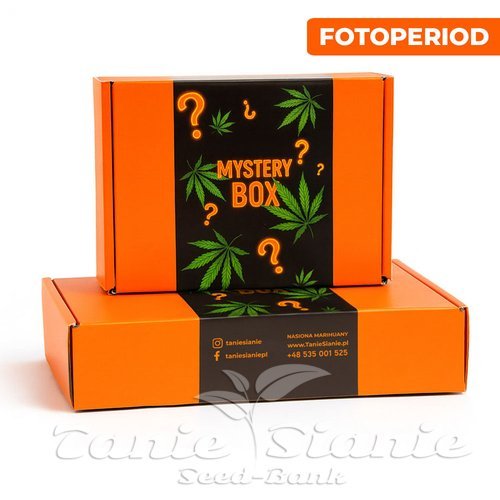 Mystery Box - pełnosezonowe nasiona marihuany