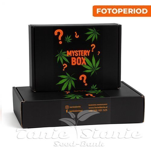 Mystery Box - pełnosezonowe nasiona marihuany