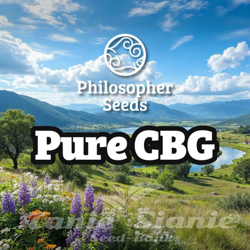 Nasiona Marihuany Pure CBG - PHILOSOPHER SEEDS