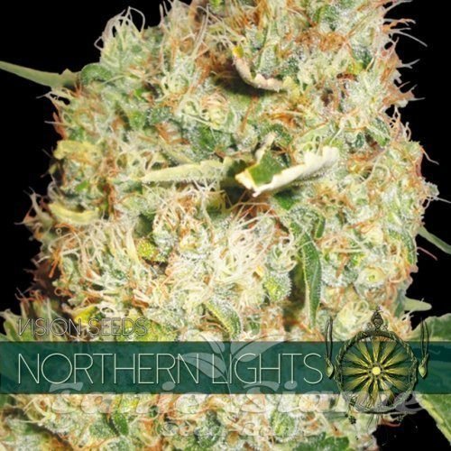 Nasiona Marihuany Northern Lights - Vision Seeds