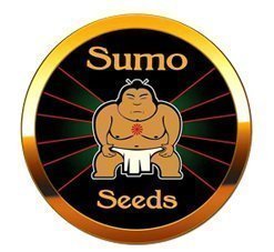 Sumo Seeds
