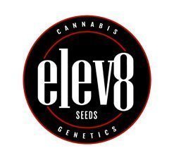 Elev8 Seeds