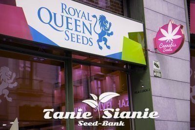 Royal Queen Seeds Otworzył nowy seedbank w Centrum Barcelony
