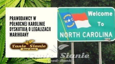 Prawodawcy w Północnej Karolinie dyskutują o legalizacji marihuany